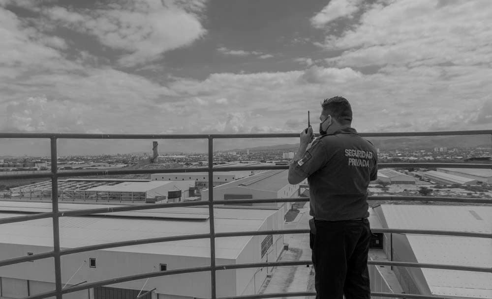 Seguridad empresarial