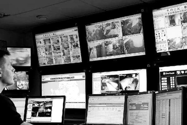 costos de la seguridad privada